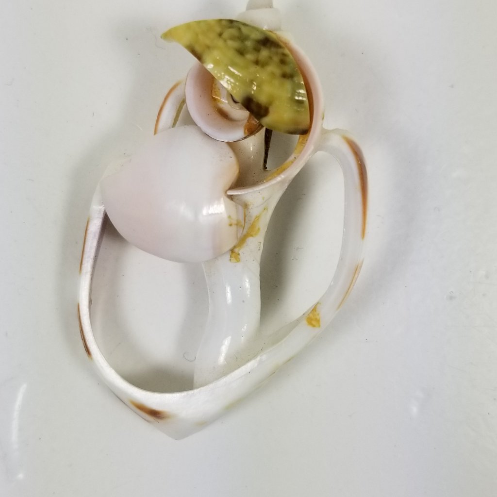 Shell Broach